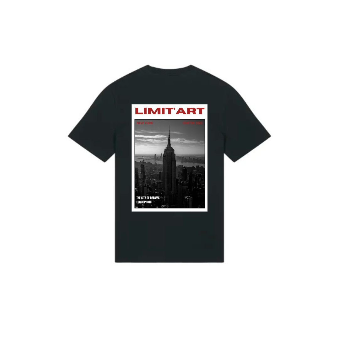 T shirt Empire State Building
