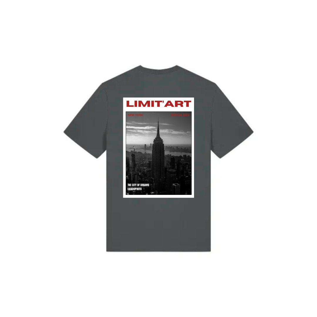 T shirt Empire State Building