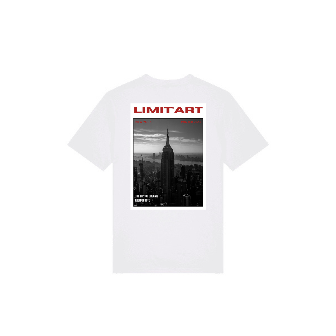 T shirt Empire State Building