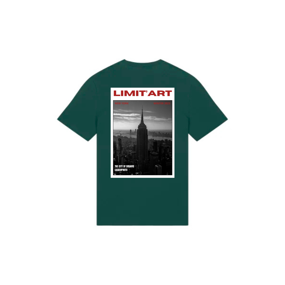 T shirt Empire State Building